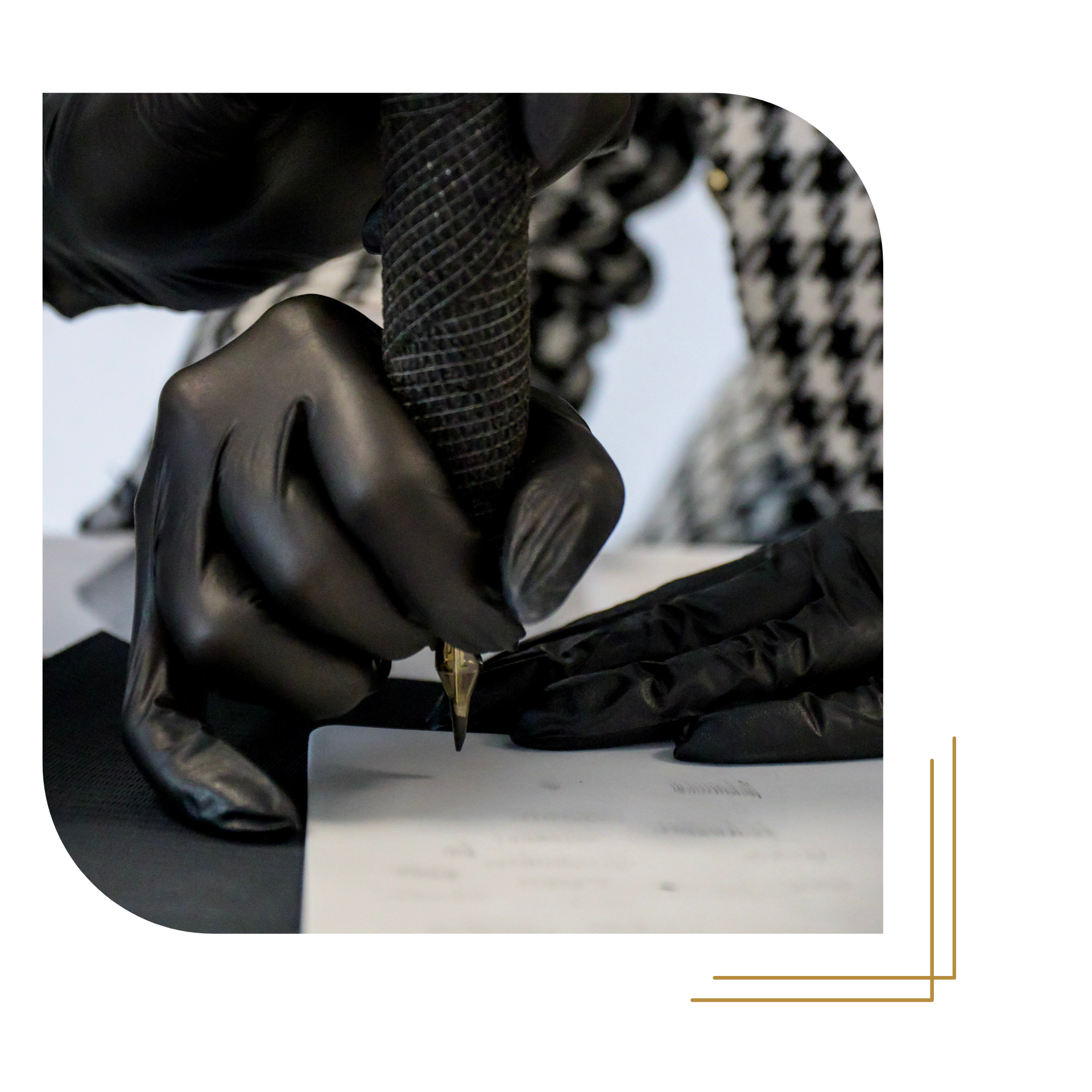 Inhaberin Studio () Inhaberin Studio ()